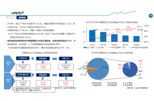 中国生物燃料行业竞争对手调研案例