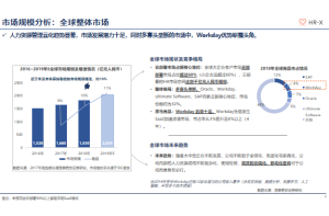 可穿戴设备市场进入咨询项目案例