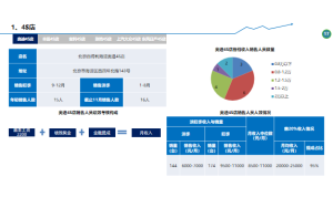 基于大数据分析的电信行业竞争对手调研项目