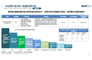 某日化品牌工业市场进入战略咨询项目案例