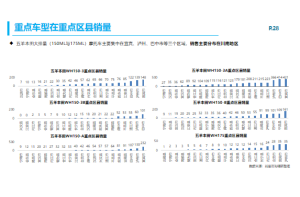 基于地理信息系统的新能源汽车市场进入咨询项目案例