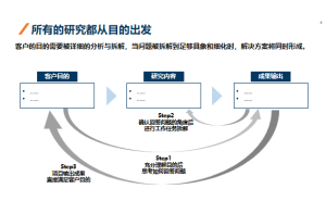 尚普咨询为某集成电路设计公司提供市场进入咨询服务项目案例