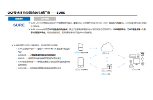 复合调味品行业市场研究项目案例