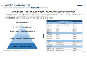 稀土行业市场进入咨询项目案例