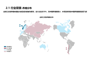 市场进入咨询的成功案例分析：咨询公司的幕后故事