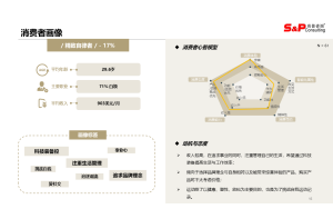 如何选择合适的市场进入咨询公司？