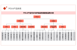 基于5G和新能源汽车发展趋势的连接器制造行业市场需求与竞争力分析项目案例