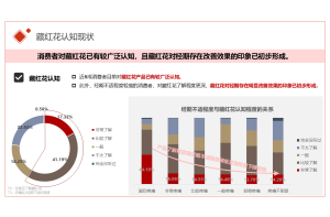 PEEK材料在中国汽车行业的应用与市场前景分析项目案例