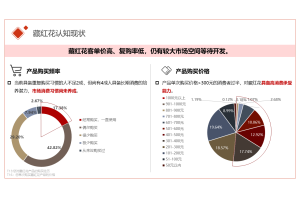 玻璃陶瓷行业竞争力调研与市场拓展策略研究项目案例