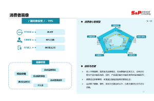 汽车安全装置市场调研与竞争策略调研项目案例