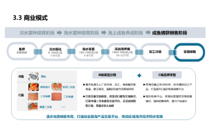 尚普咨询：如何成为一个优秀的市场调研公司