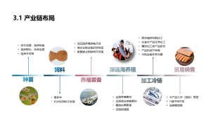 墙纸行业消费者需求与满意度调研项目案例