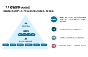 市场调研公司的成功案例：如何帮助客户解决问题，实现目标