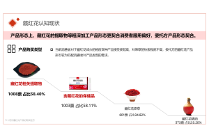 尚普咨询：市场调研公司的服务流程与质量控制