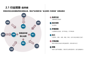 高速电机行业市场调研项目案例