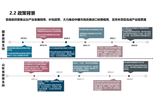 饰品消费者需求与行为调研项目案例