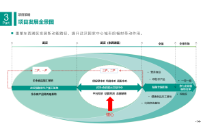 尚普咨询：市场调研公司的成功案例解析