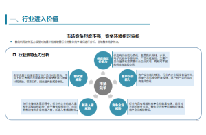 方便面消费者需求与偏好的深度调研项目案例