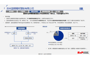 TWS耳机市场需求与消费者行为调研项目案例