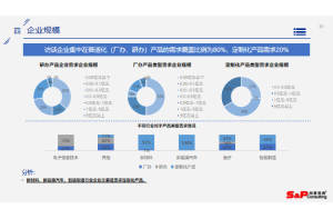 木工机械行业竞争对手调研及市场战略规划项目案例