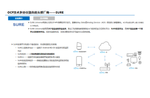 尚普咨询：市场调查公司的案例分享与经验总结