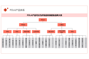 企业孵化器用户满意度调研项目案例