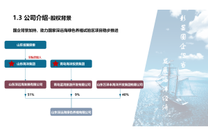 市场调查的方法论与实务：以现代金融行业为例