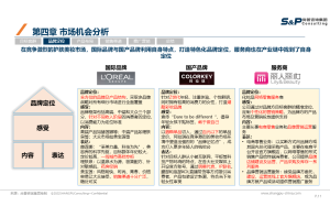 从案例看气体分析仪行业的市场调研技巧与窍门