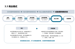 专精特新“小巨人”企业培育：条件、流程与政策