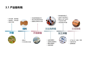 专精特新申请的最佳实践：从案例中学习