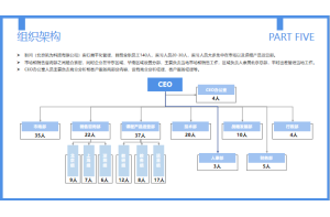 化妆棉消费者需求与行为分析项目案例